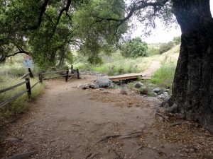 Hike