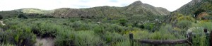 Mission Trails Park