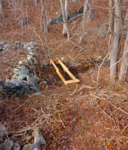 Bridge