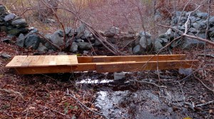 Bridge1