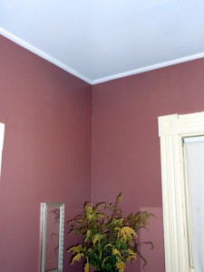 Ceiling Trim