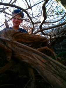 Fort - Blog