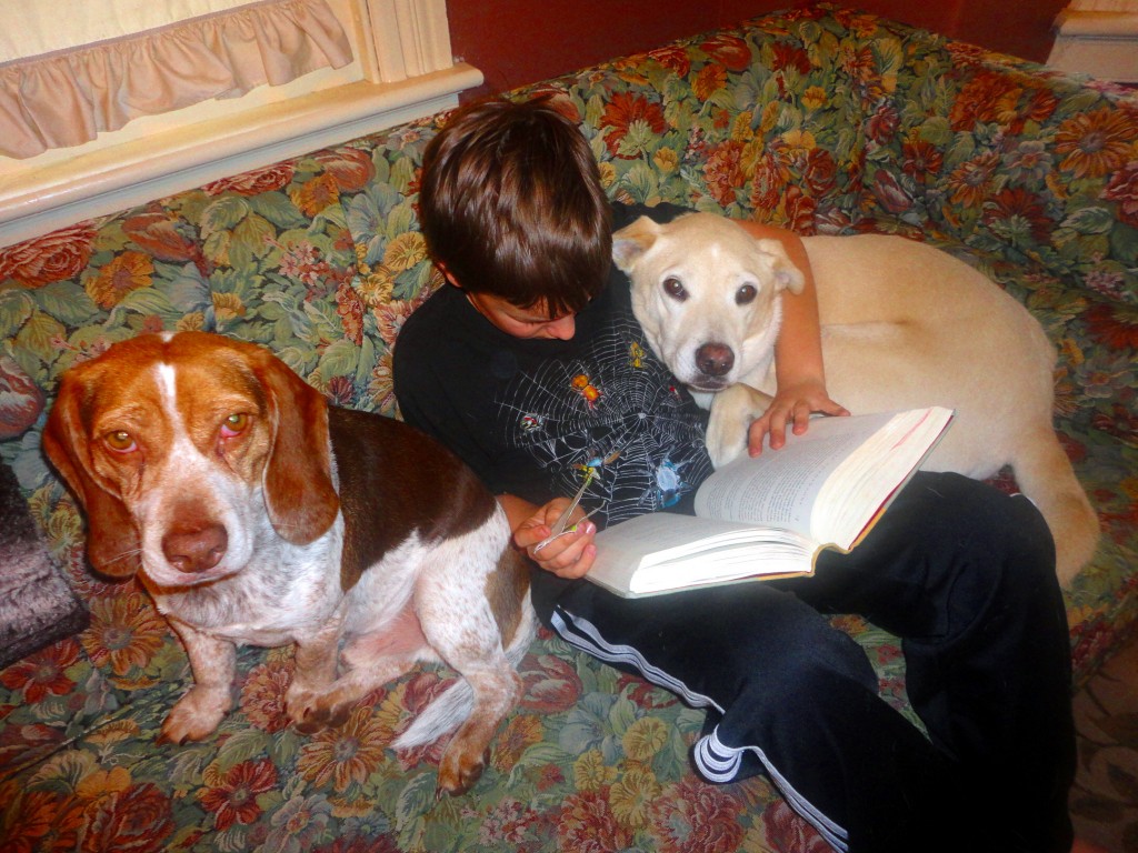 WillReadingWithDogs