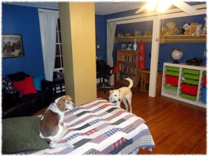 Will's room, refinished, redecorated and reorganized.