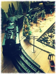 Will's train diorama