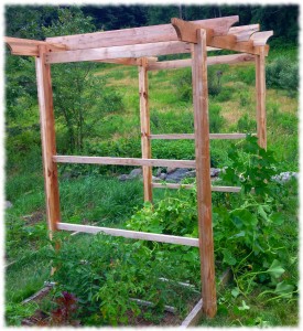 Garden Trellis Completed - just waiting for netting to tie up plants