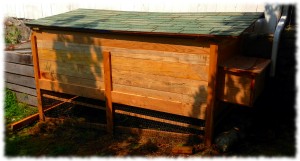 Completed chicken coop made with red oak and maple.
