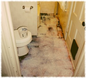 Bathroom floor with old tiles removed and primer/sealer applied