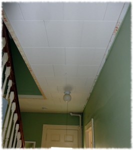 The hall ceiling and light as of Sunday morning.