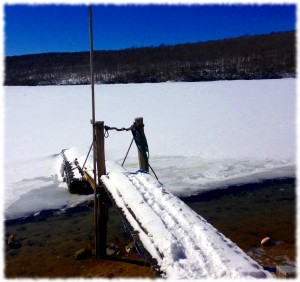 A view of the river where the mooring will be (once the ice melts)