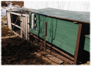 Coop with the new feeder installed. I probably should paint the feeder to match the rest of the coop. Maybe later this spring.