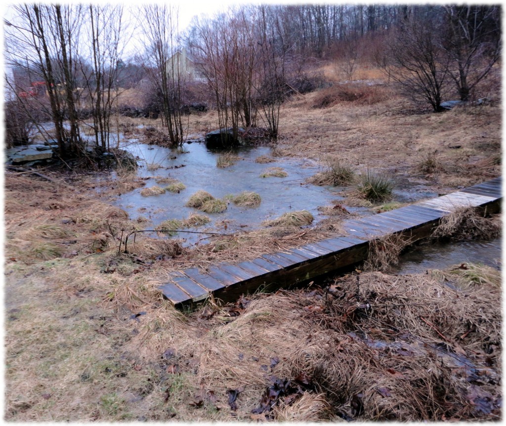 The seasonal stream after a long day of heavy rain.