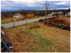 Remnants of the old fence as I start to install the posts for the new one (I forgot to take a picture before I started)