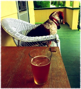 Hanging out on the porch with Tucker enjoying the overcast (but not to cold) afternoon.