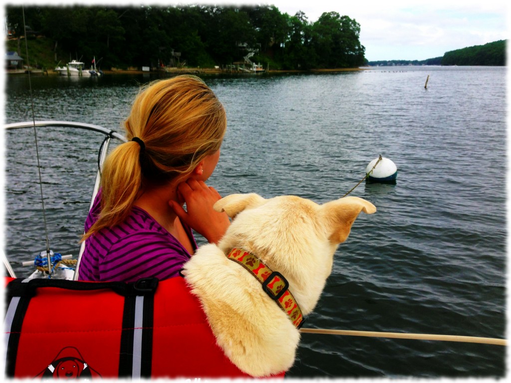 Susanna and Targa enjoying the view from the mooring