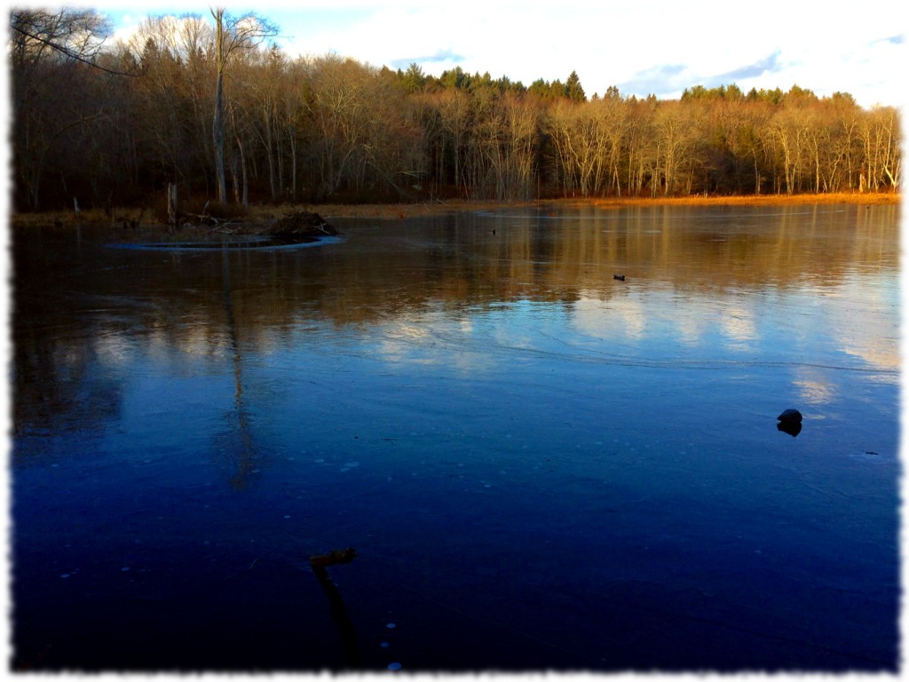 A view from our turnaround point on our hike today.