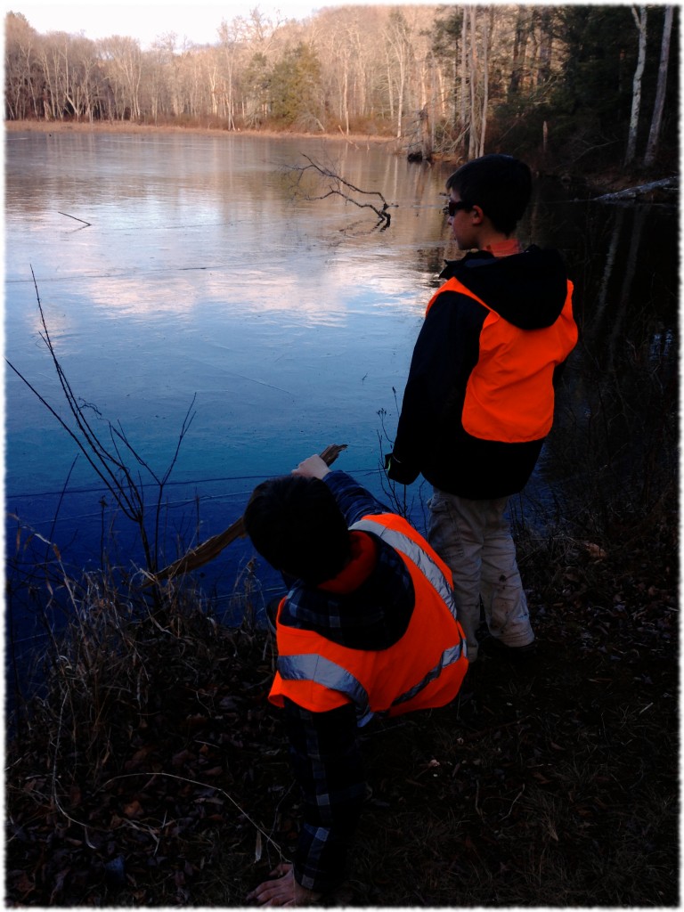 Will and Ben playing by the beaver dam.