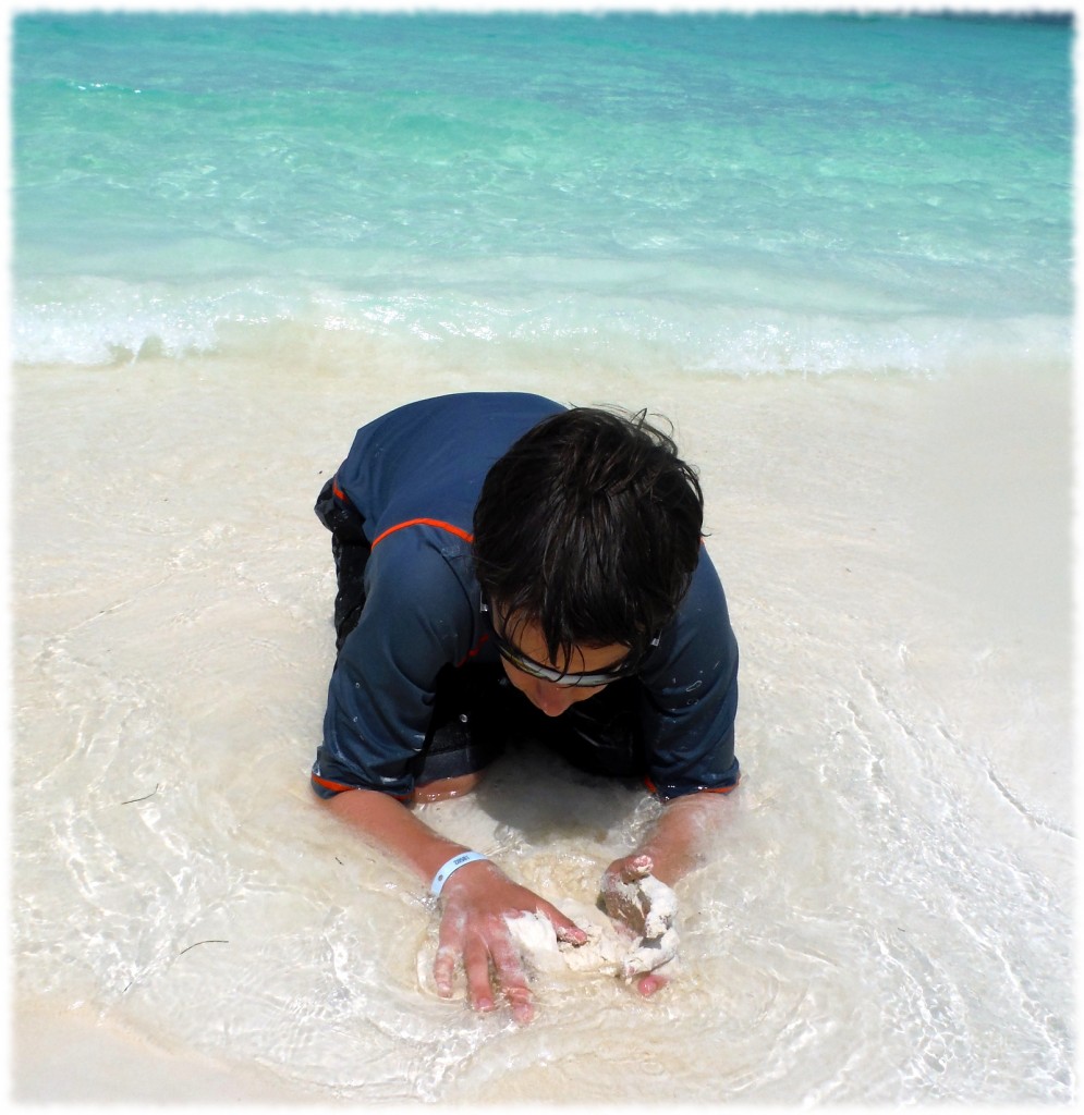 Will playing at the beach by our hotel (completely ignoring Susanna's requests to look up for the picture)