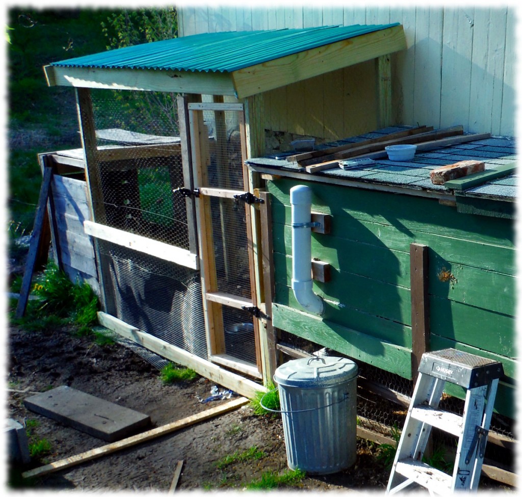 A nearly completed upgraded chicken run. The interior has 6 feet of headroom, so it will be easy for me to get in the run and clean.