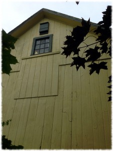 Will's bat house hung on the side of the garage above the loft window.