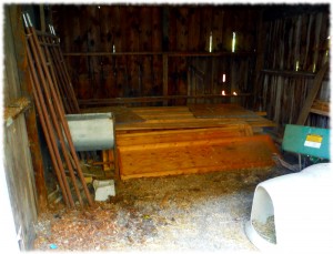 The lumber pile/junk storage/dog pen prior to reorganization.