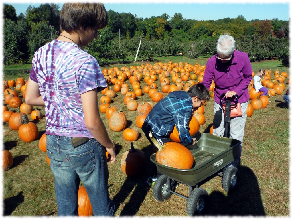 Will, Ben and Grandma Mary selecting the largest pumpkins that the boys can pick up (the rule was that if they couldn't pick them up, we wouldn't get them).