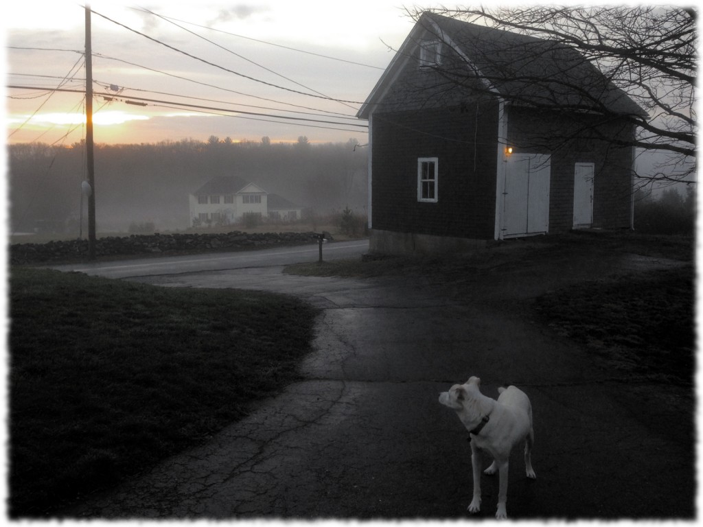 Targa and the sunrise on a foggy and warm Christmas morning.