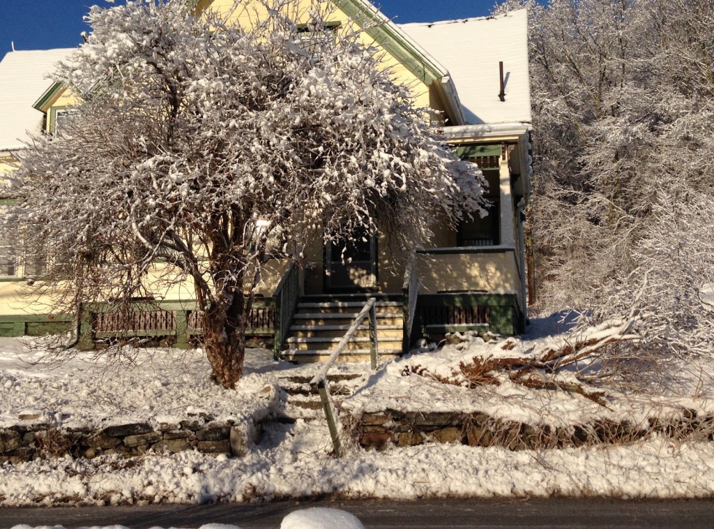 The front of the house with the remaining hydrangea tree. It is rather large and may be worth taking down in the spring - depending on what we decide to replace the other tree with.