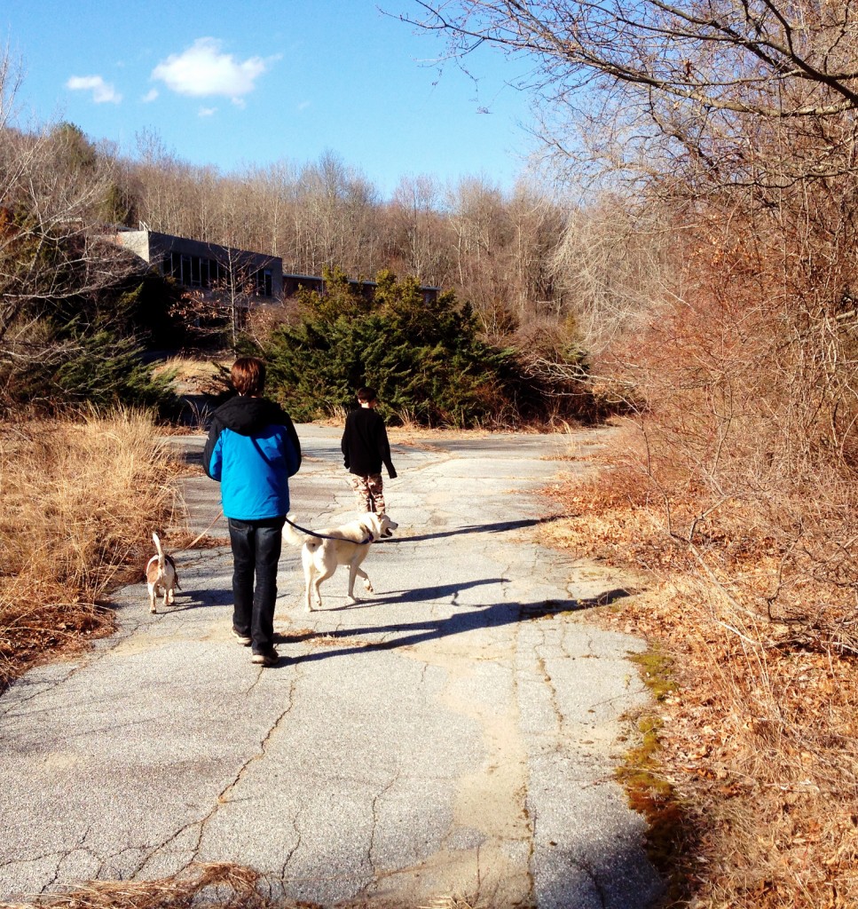 Another beautiful day for a hike in the woods behind the house