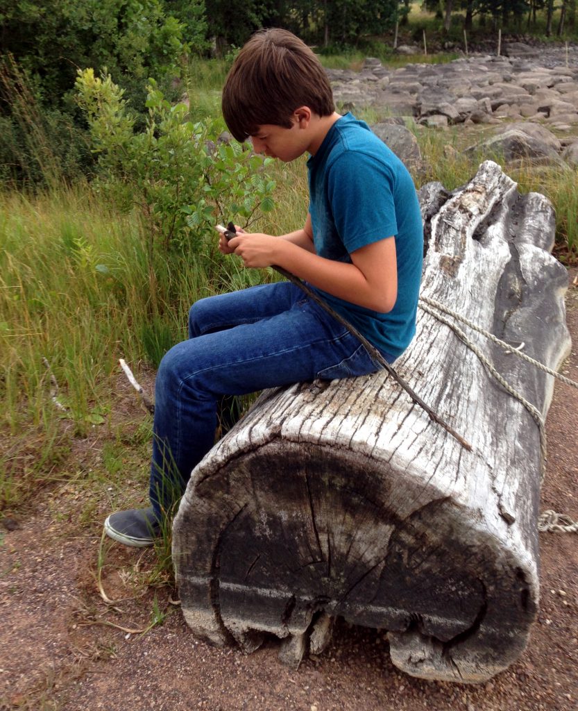 Will taking alone time to carve points on sticks at the cabin on the lake.